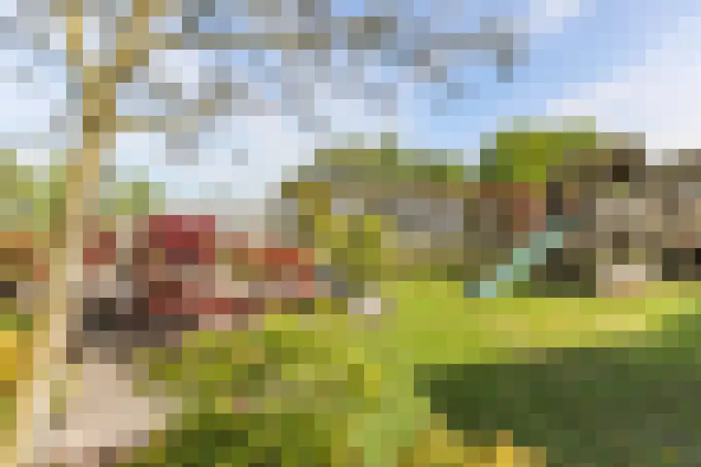 Borgercompagniesterstr 1 Sappemeer thumbnail 39