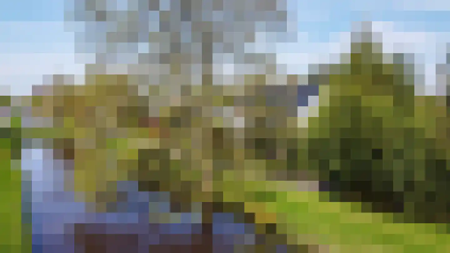 Borgercompagniesterstr 1 Sappemeer thumbnail 4