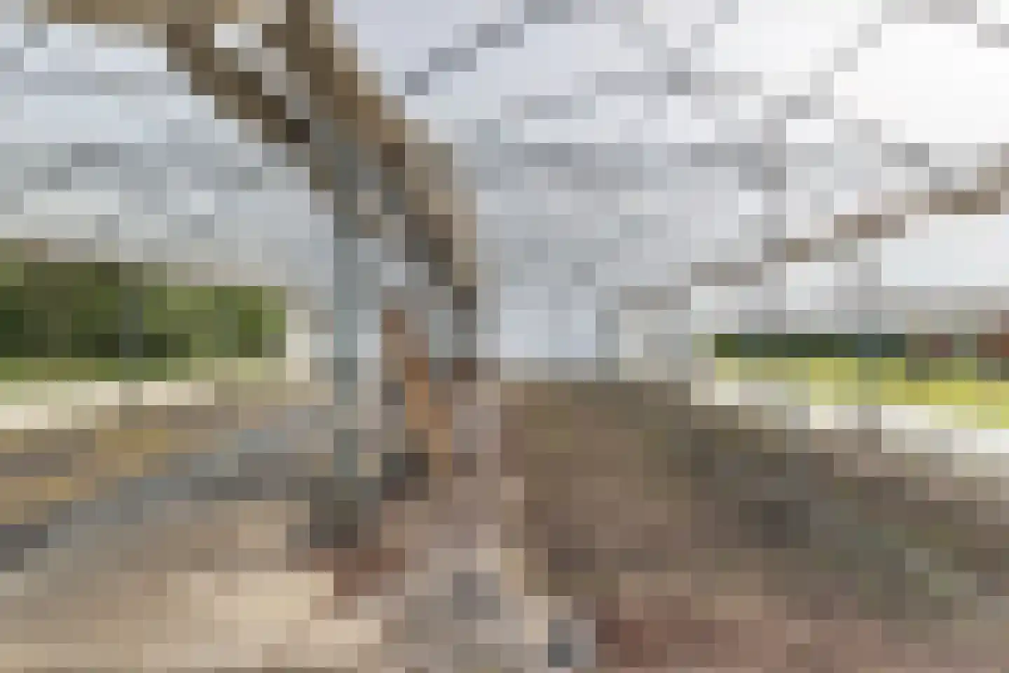 Borgercompagniesterstr 1 Sappemeer thumbnail 42