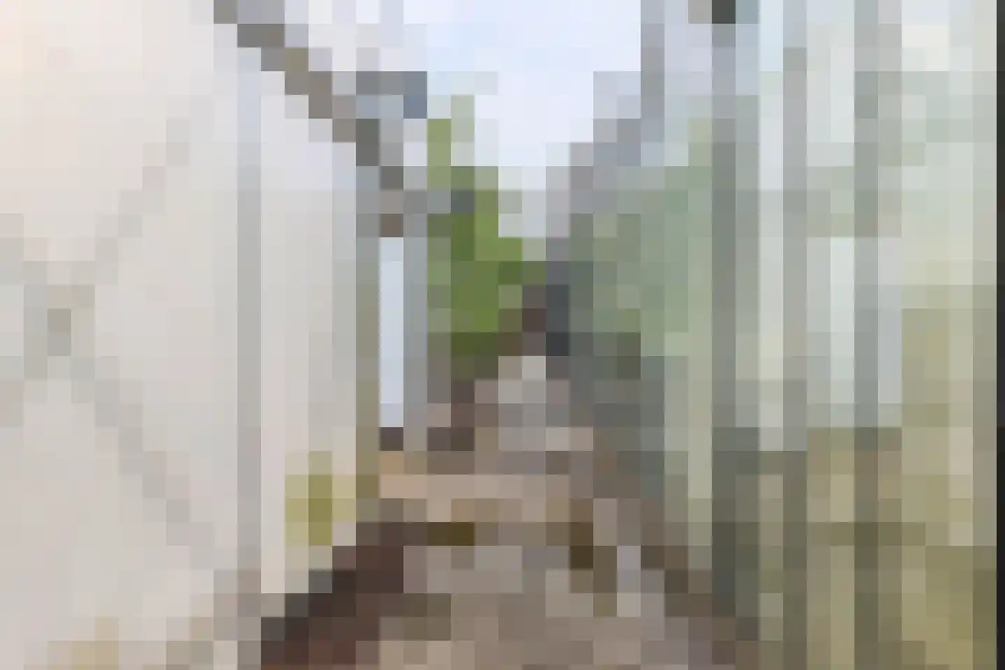 Borgercompagniesterstr 1 Sappemeer thumbnail 44