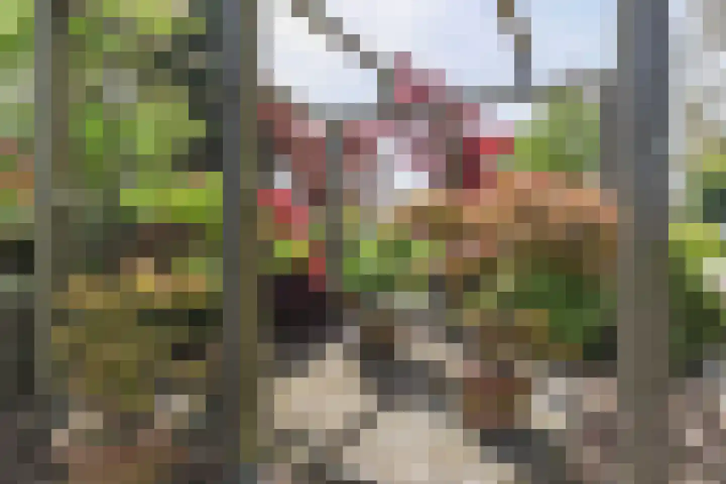 Borgercompagniesterstr 1 Sappemeer thumbnail 46
