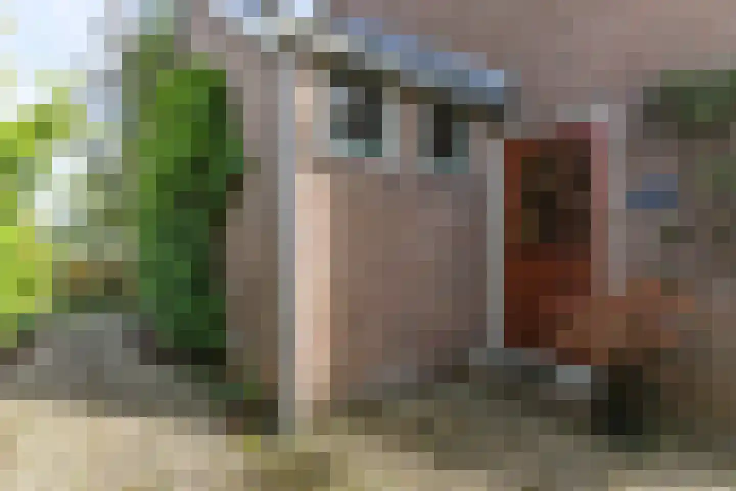 Borgercompagniesterstr 1 Sappemeer thumbnail 48