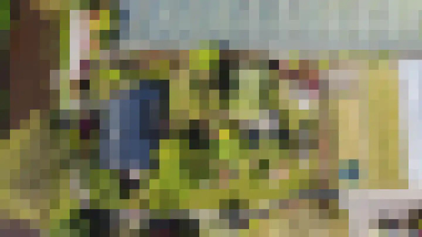 Borgercompagniesterstr 1 Sappemeer thumbnail 6