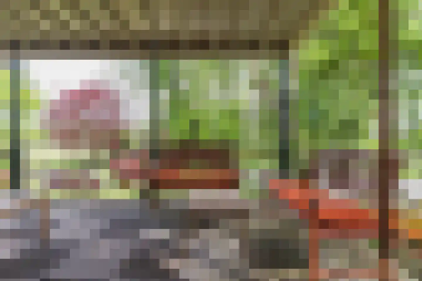 Borgercompagniesterstr 1 Sappemeer thumbnail 60