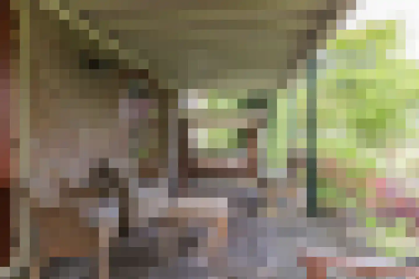 Borgercompagniesterstr 1 Sappemeer thumbnail 61