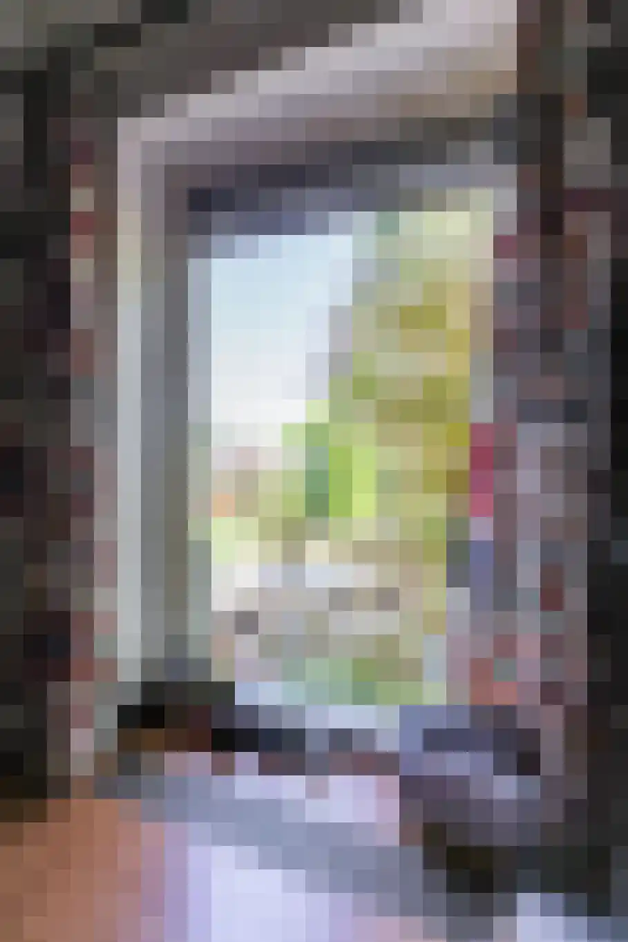 Borgercompagniesterstr 1 Sappemeer thumbnail 69