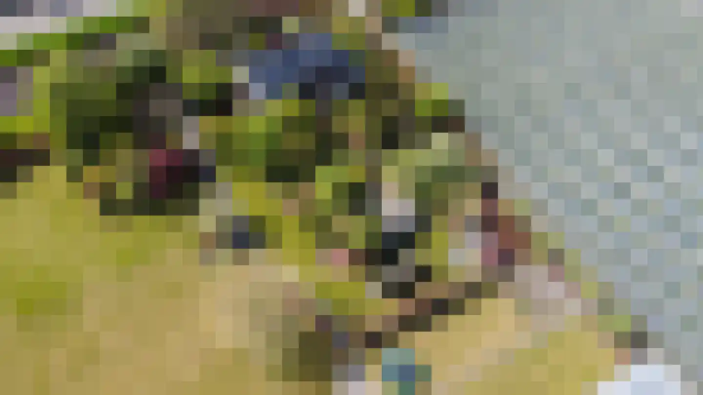 Borgercompagniesterstr 1 Sappemeer thumbnail 7