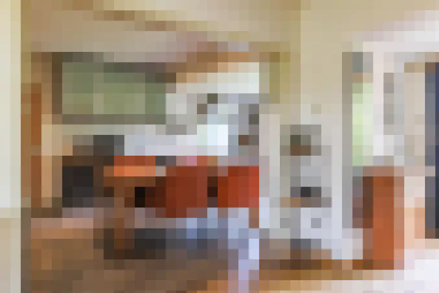 Borgercompagniesterstr 1 Sappemeer thumbnail 72