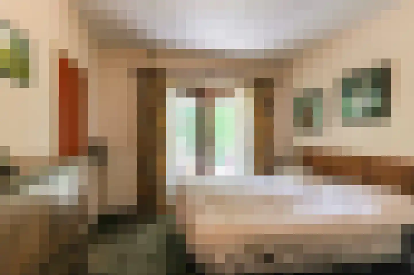 Borgercompagniesterstr 1 Sappemeer thumbnail 73