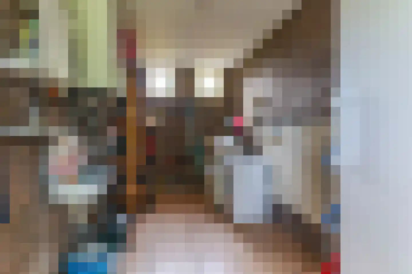 Borgercompagniesterstr 1 Sappemeer thumbnail 78