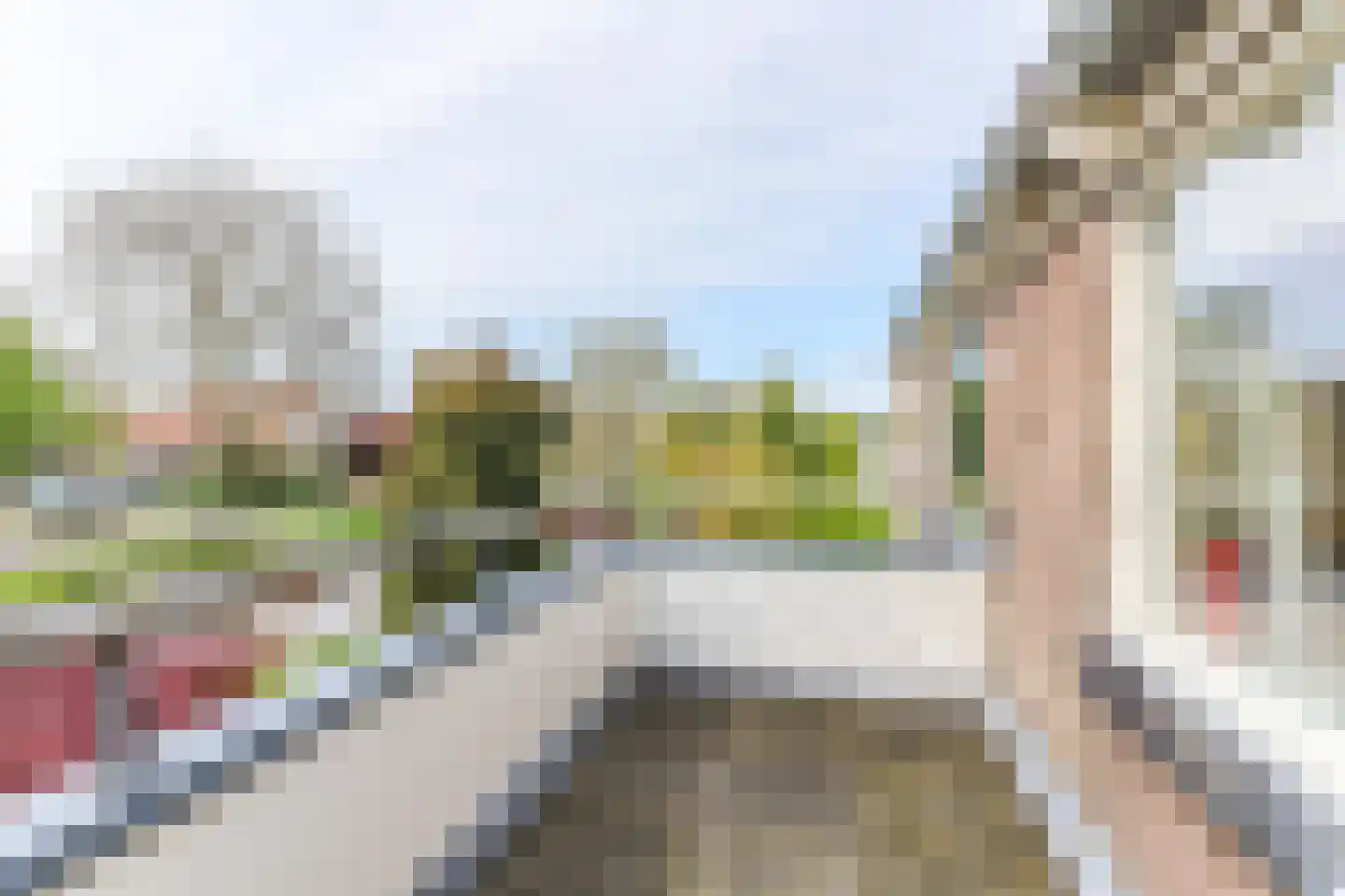 Borgercompagniesterstr 1 Sappemeer thumbnail 88