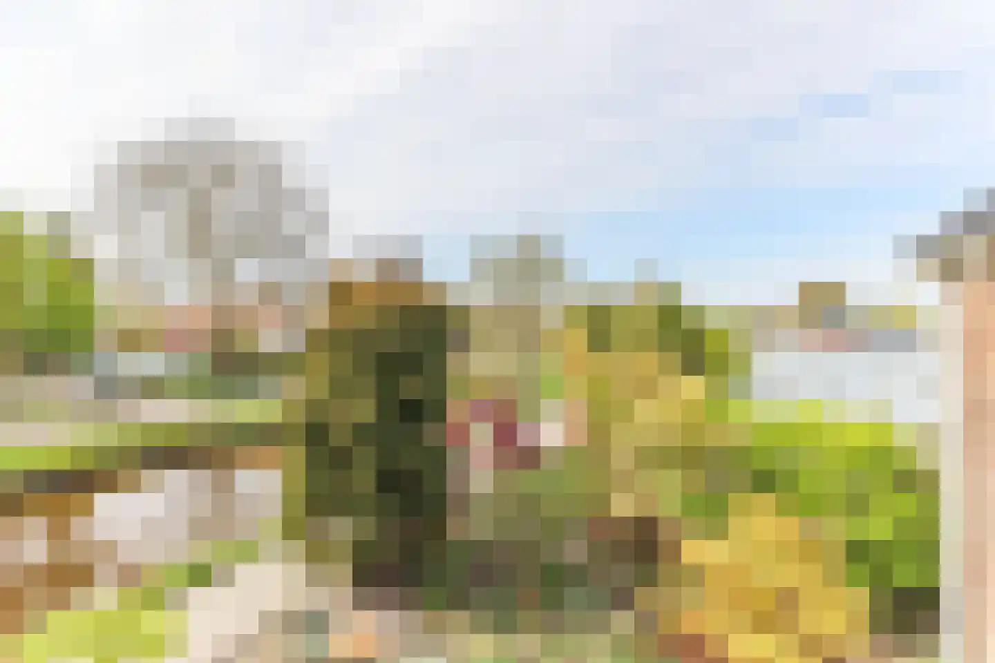 Borgercompagniesterstr 1 Sappemeer thumbnail 89
