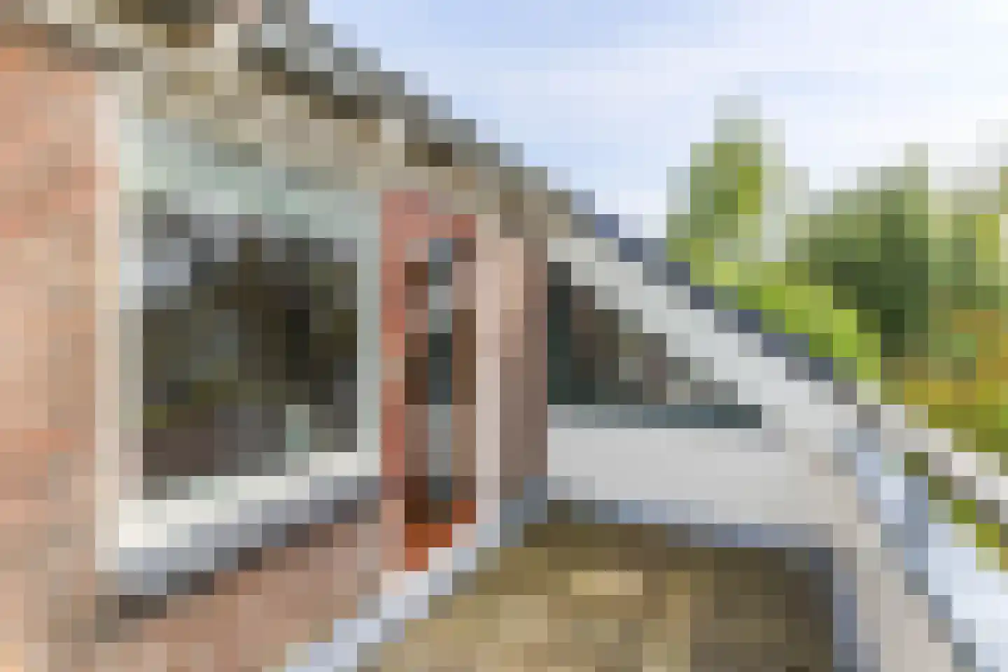 Borgercompagniesterstr 1 Sappemeer thumbnail 90