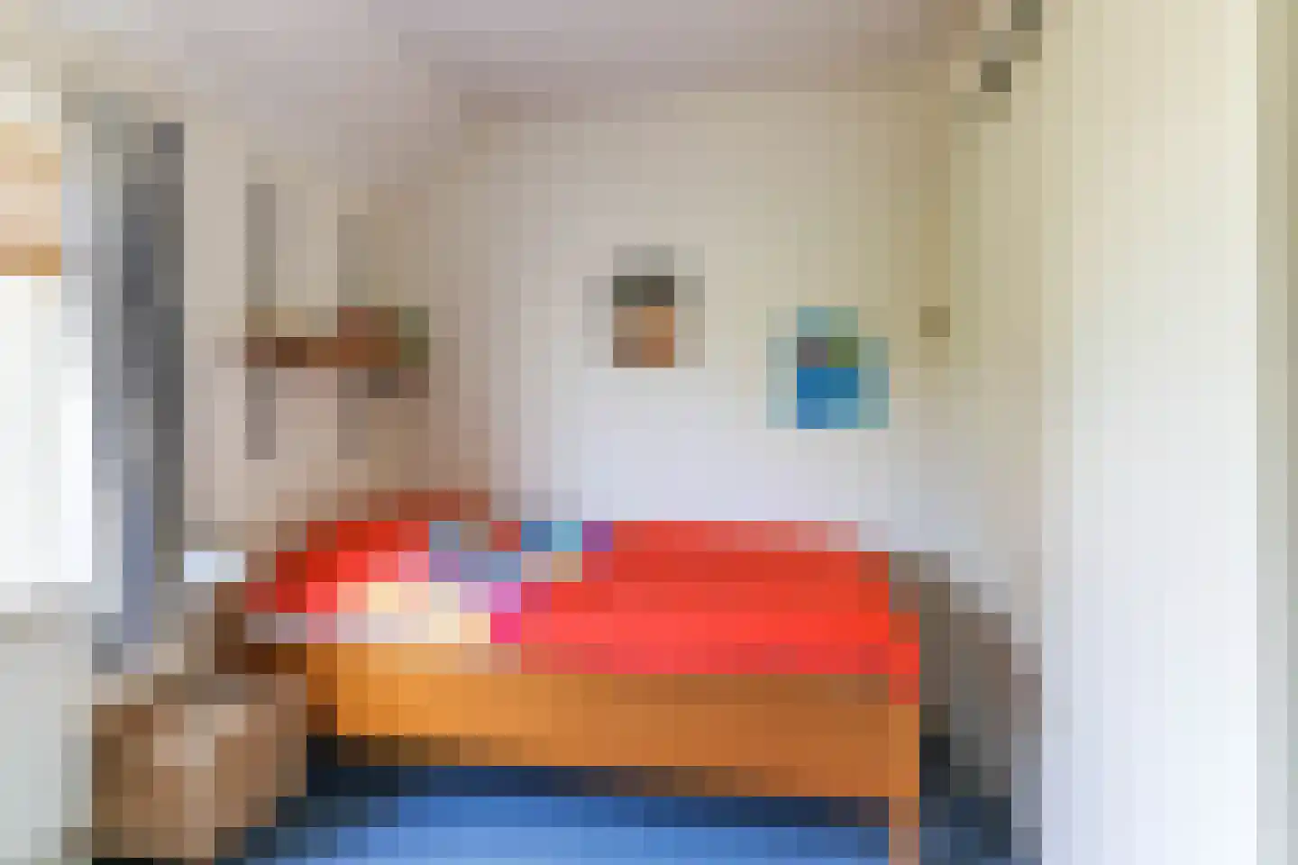 Borgercompagniesterstr 1 Sappemeer thumbnail 92