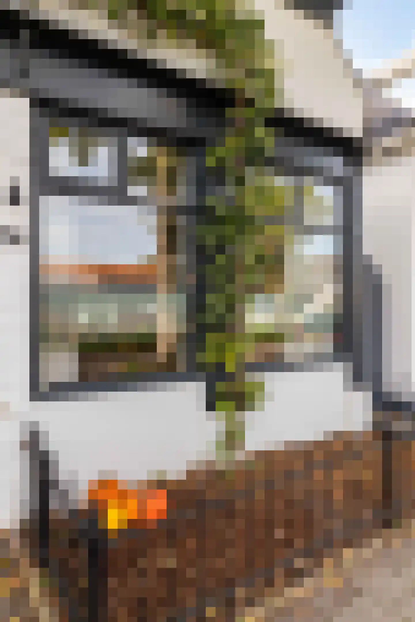 Borgercompagniesterstr 14 Sappemeer thumbnail 14