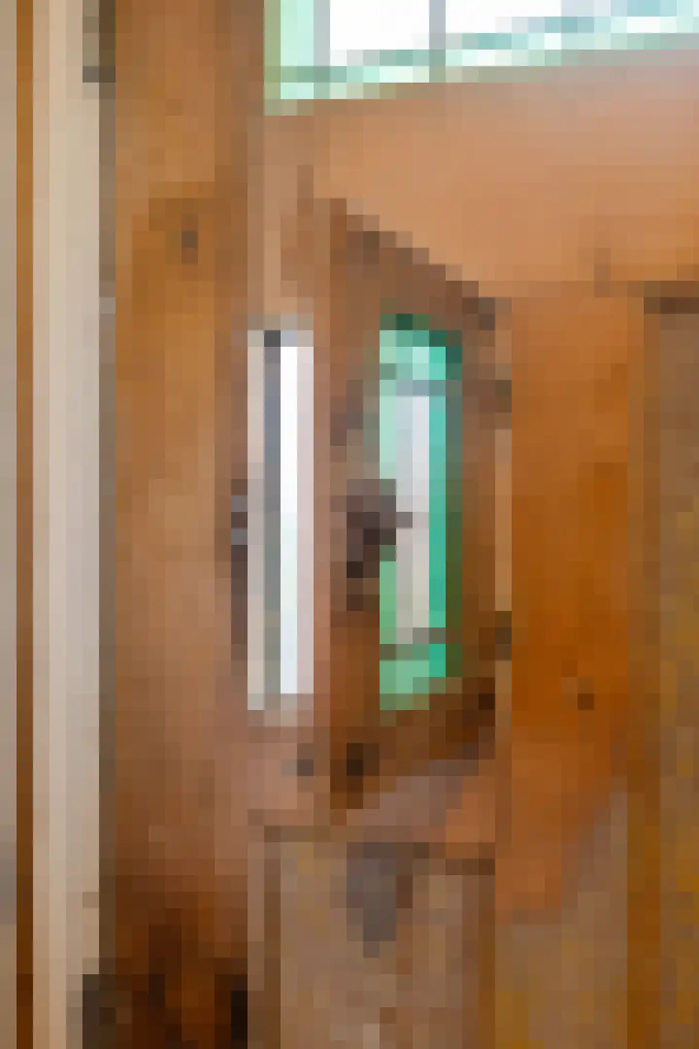 Borgercompagniesterstr 14 Sappemeer thumbnail 15