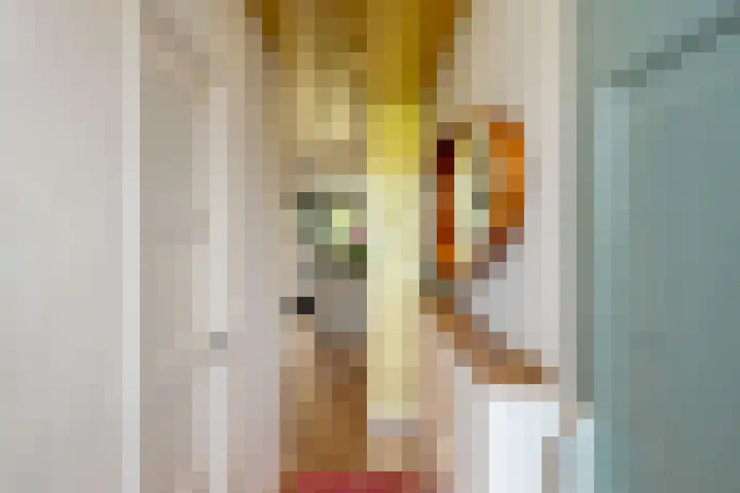 Borgercompagniesterstr 14 Sappemeer thumbnail 17