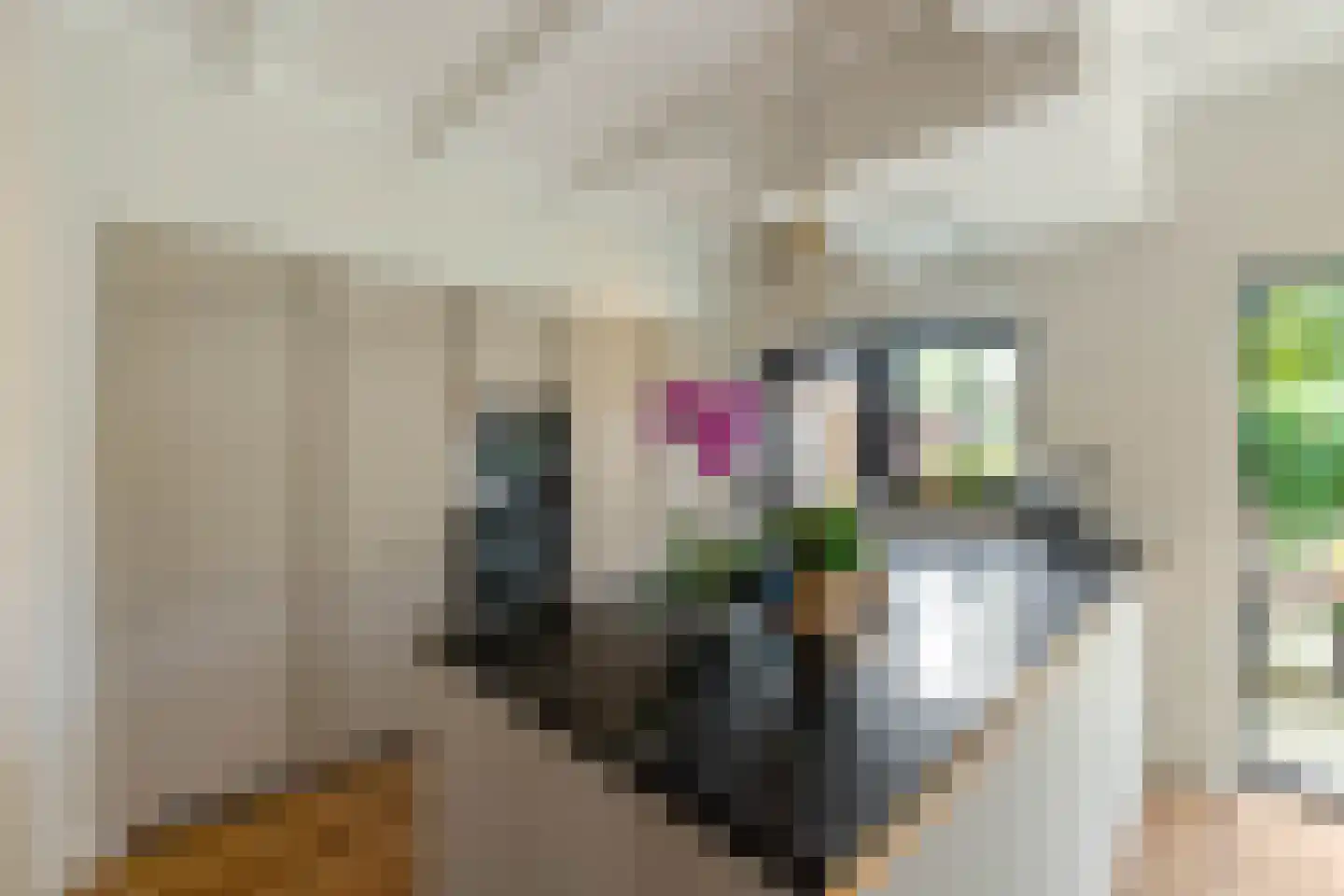 Borgercompagniesterstr 14 Sappemeer thumbnail 21