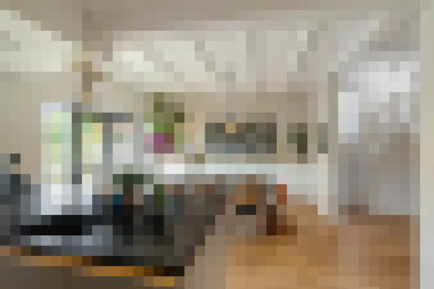 Borgercompagniesterstr 14 Sappemeer thumbnail 24