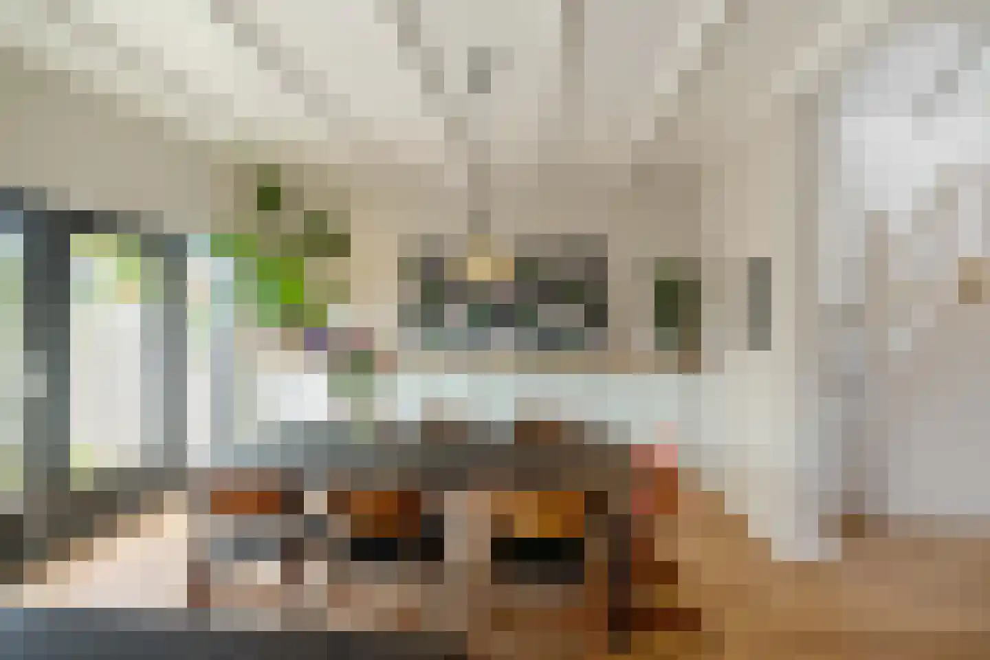 Borgercompagniesterstr 14 Sappemeer thumbnail 26