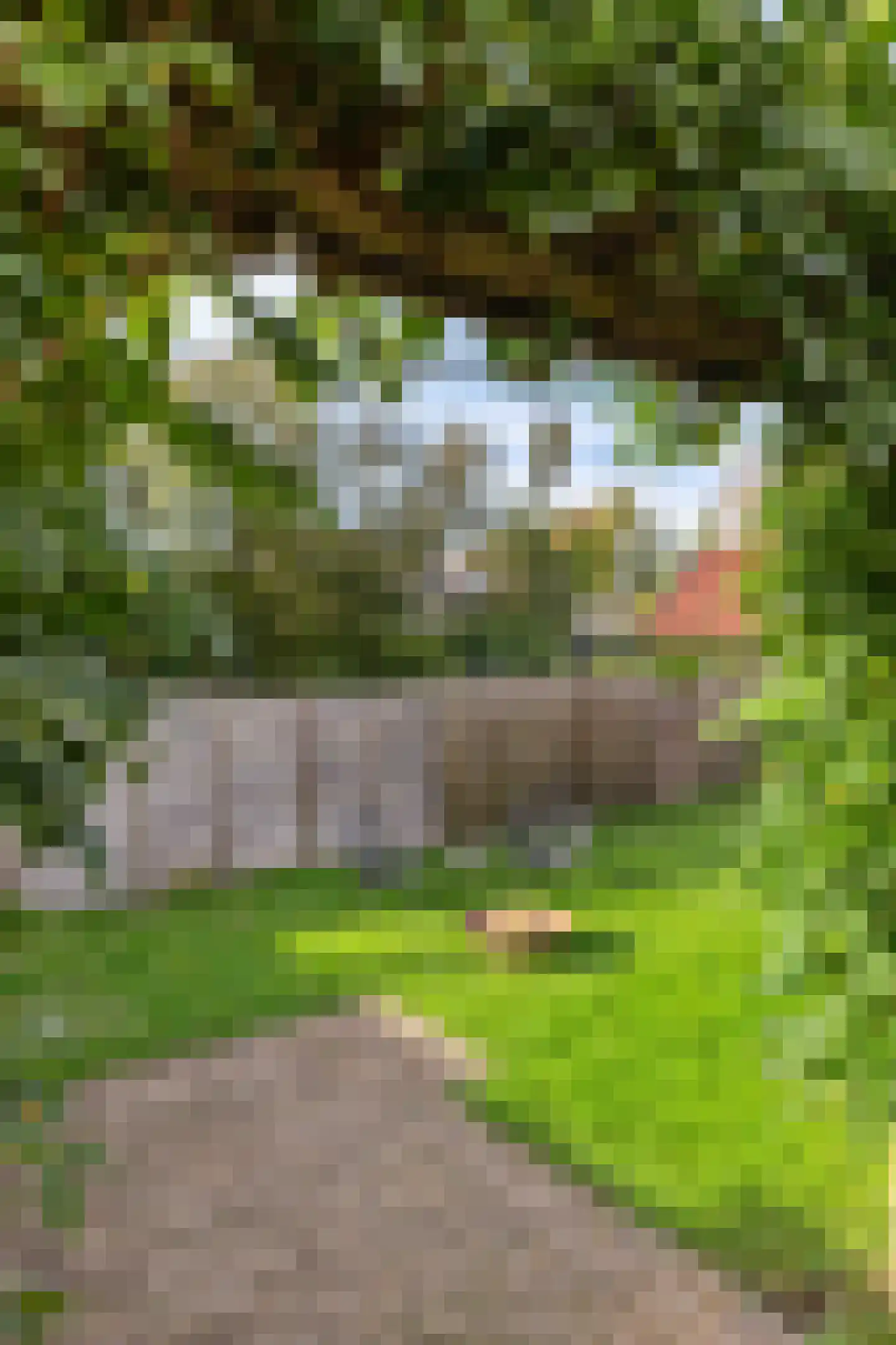 Borgercompagniesterstr 14 Sappemeer thumbnail 45