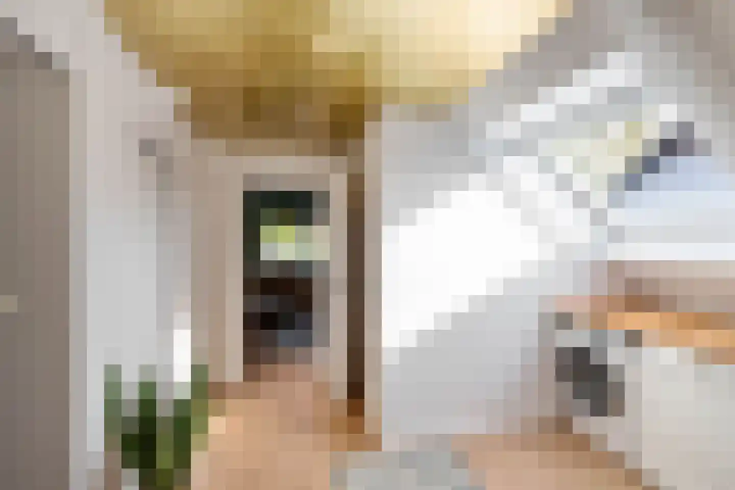 Borgercompagniesterstr 14 Sappemeer thumbnail 55