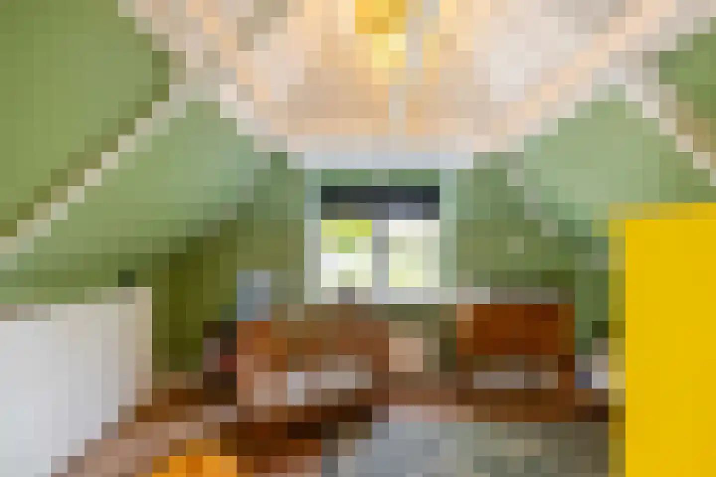 Borgercompagniesterstr 14 Sappemeer thumbnail 59