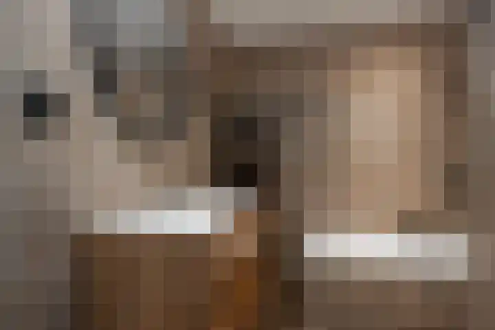 Borgercompagniesterstr 22 Sappemeer thumbnail 12