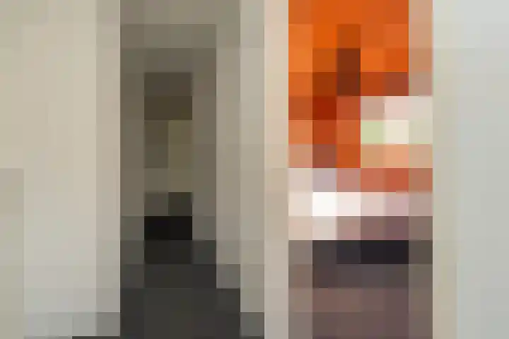 Borgercompagniesterstr 22 Sappemeer thumbnail 15