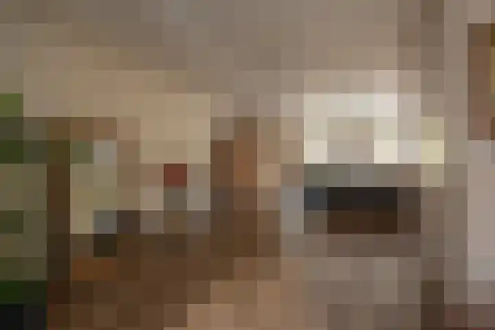Borgercompagniesterstr 22 Sappemeer thumbnail 5