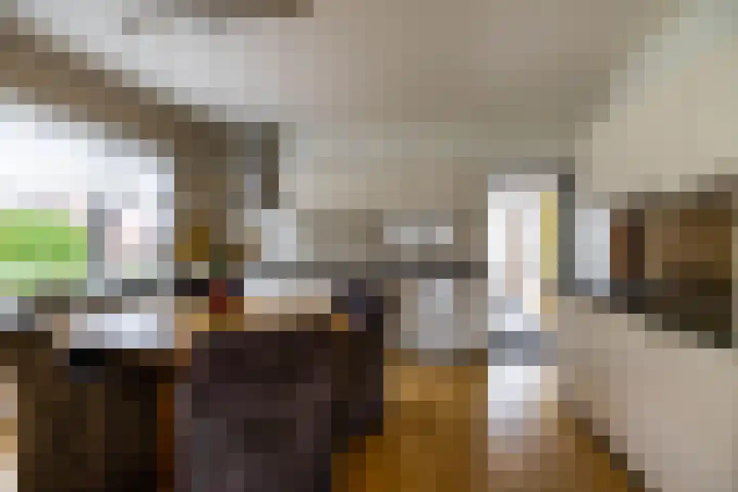 Borgercompagniesterstr 58 Sappemeer thumbnail 14