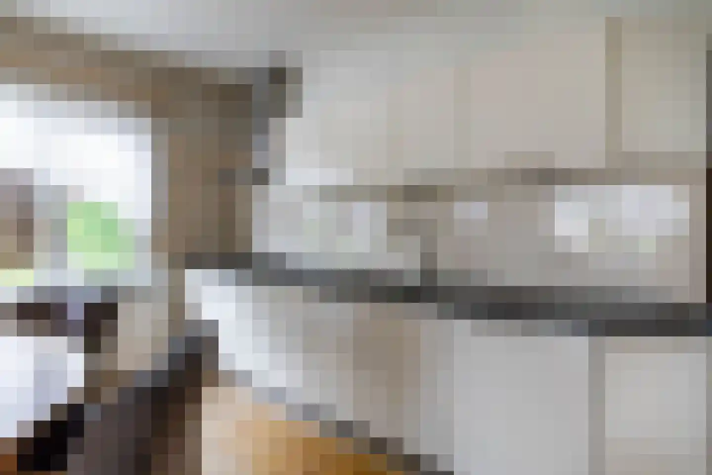 Borgercompagniesterstr 58 Sappemeer thumbnail 15