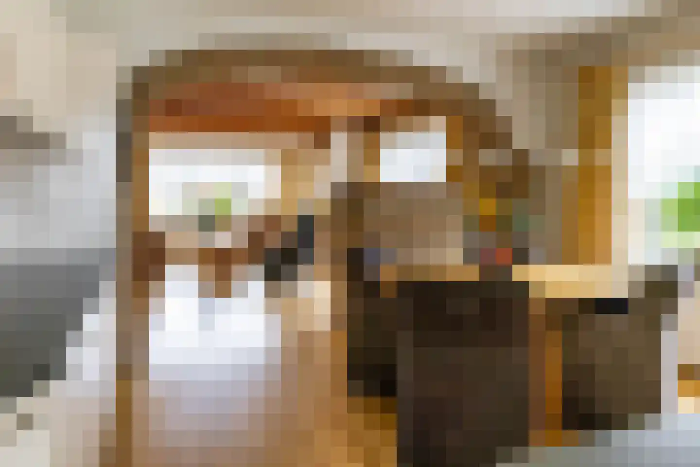 Borgercompagniesterstr 58 Sappemeer thumbnail 17