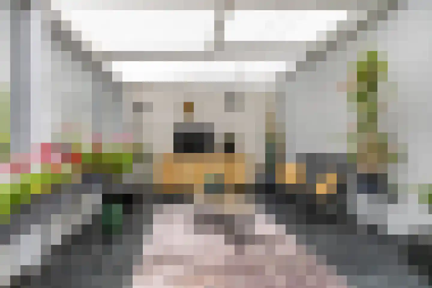 Borgercompagniesterstr 58 Sappemeer thumbnail 32