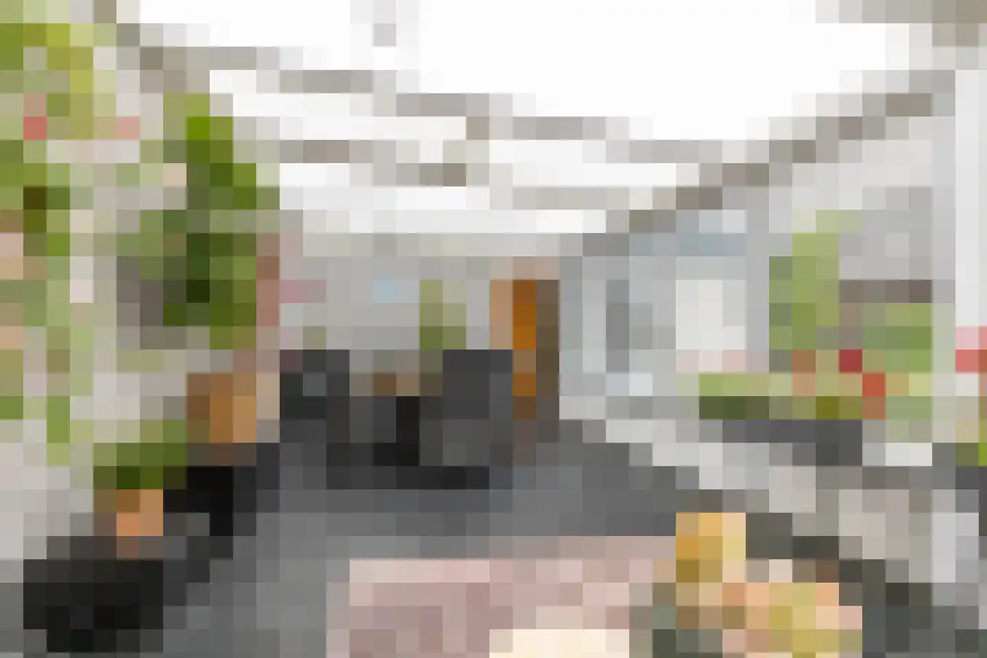 Borgercompagniesterstr 58 Sappemeer thumbnail 33