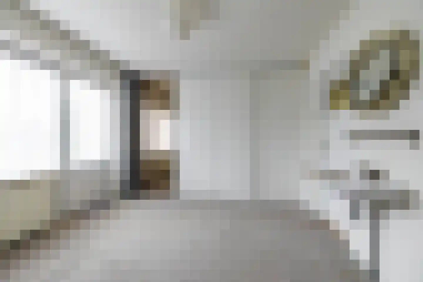 Borgercompagniesterstr 58 Sappemeer thumbnail 36