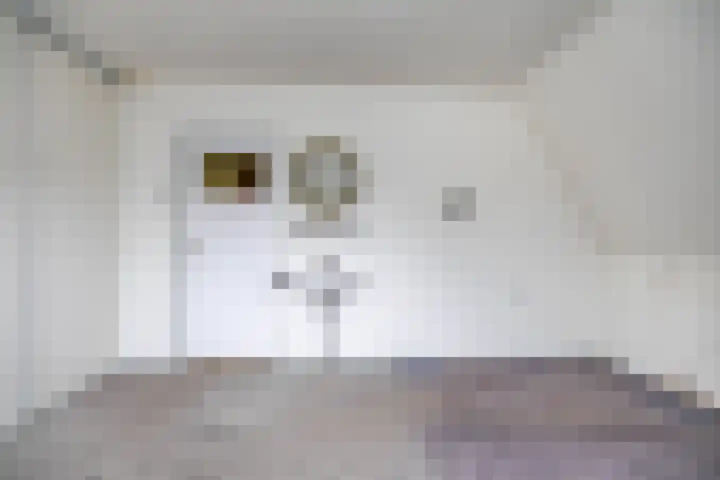 Borgercompagniesterstr 58 Sappemeer thumbnail 37