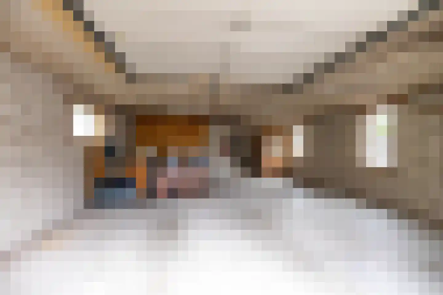 Borgercompagniesterstr 58 Sappemeer thumbnail 51