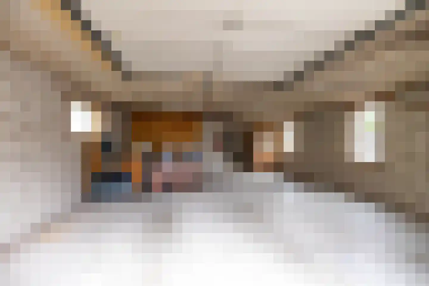 Borgercompagniesterstr 58 Sappemeer thumbnail 51