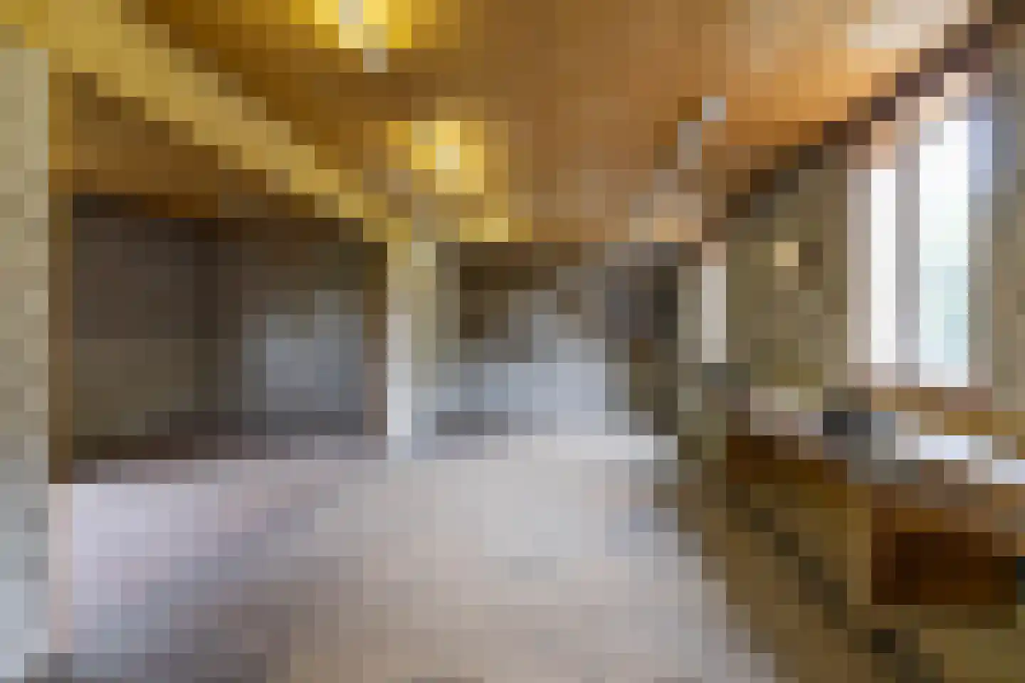 Borgercompagniesterstr 58 Sappemeer thumbnail 53