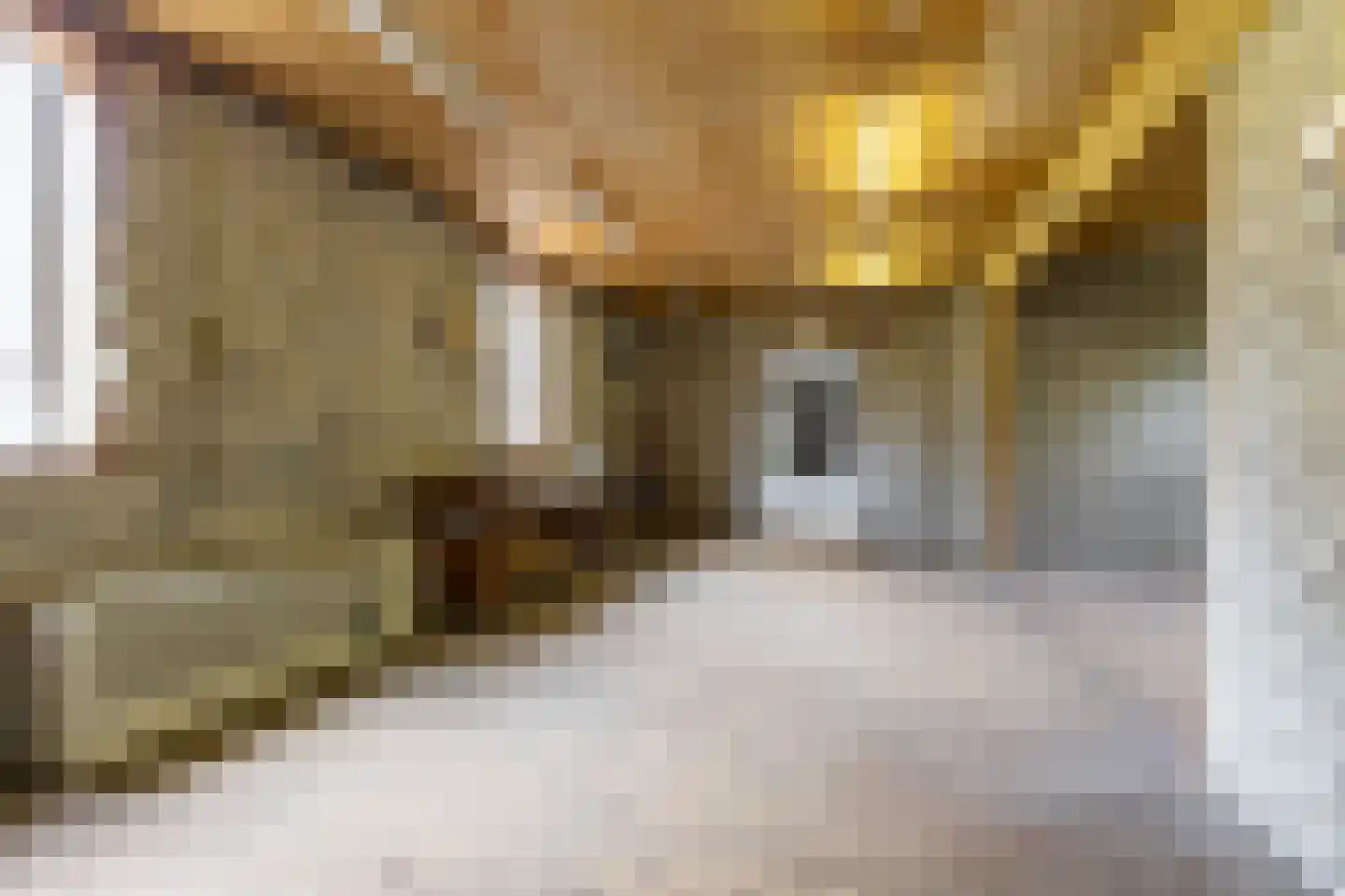 Borgercompagniesterstr 58 Sappemeer thumbnail 55