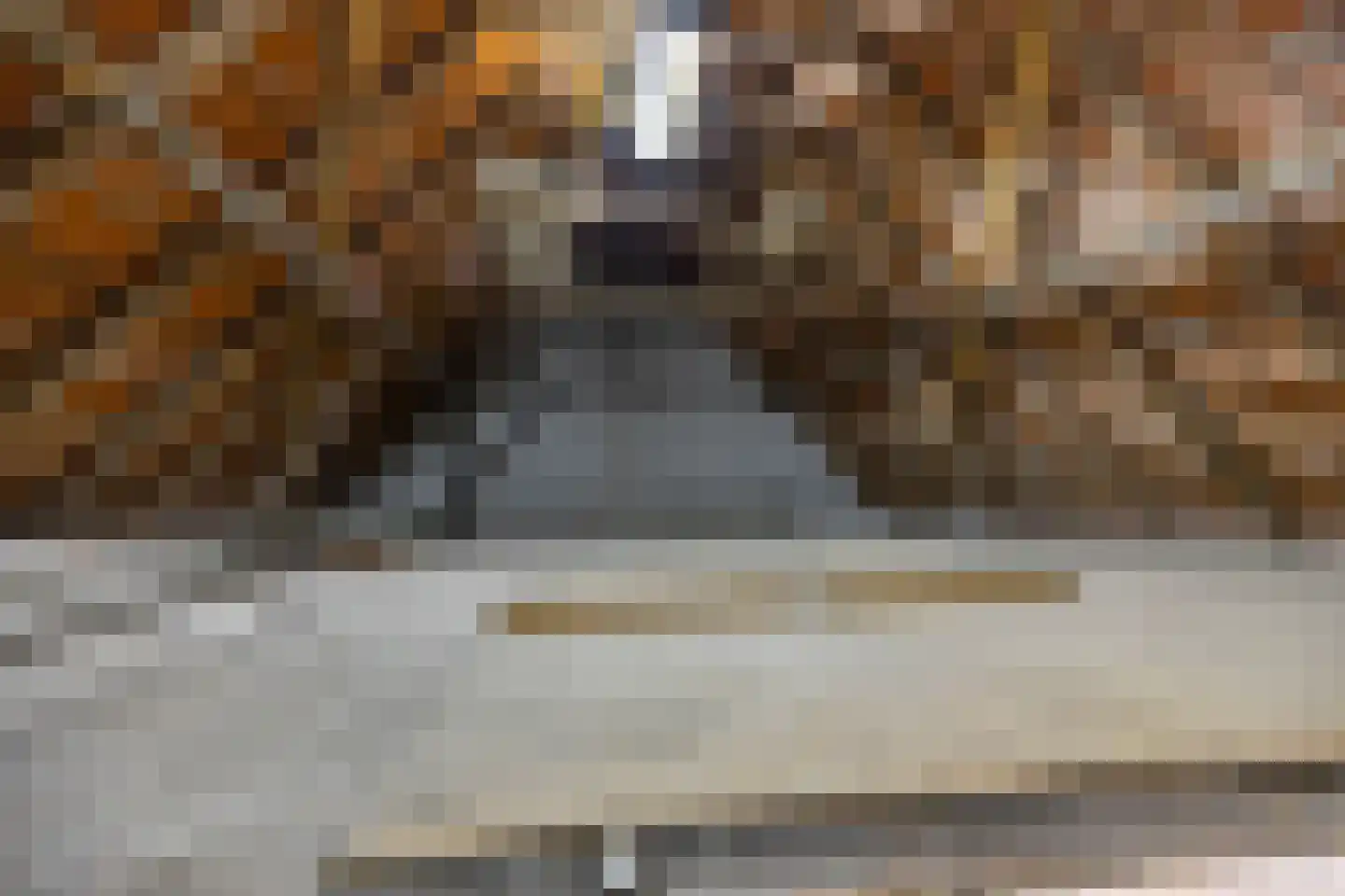 Borgercompagniesterstr 58 Sappemeer thumbnail 59