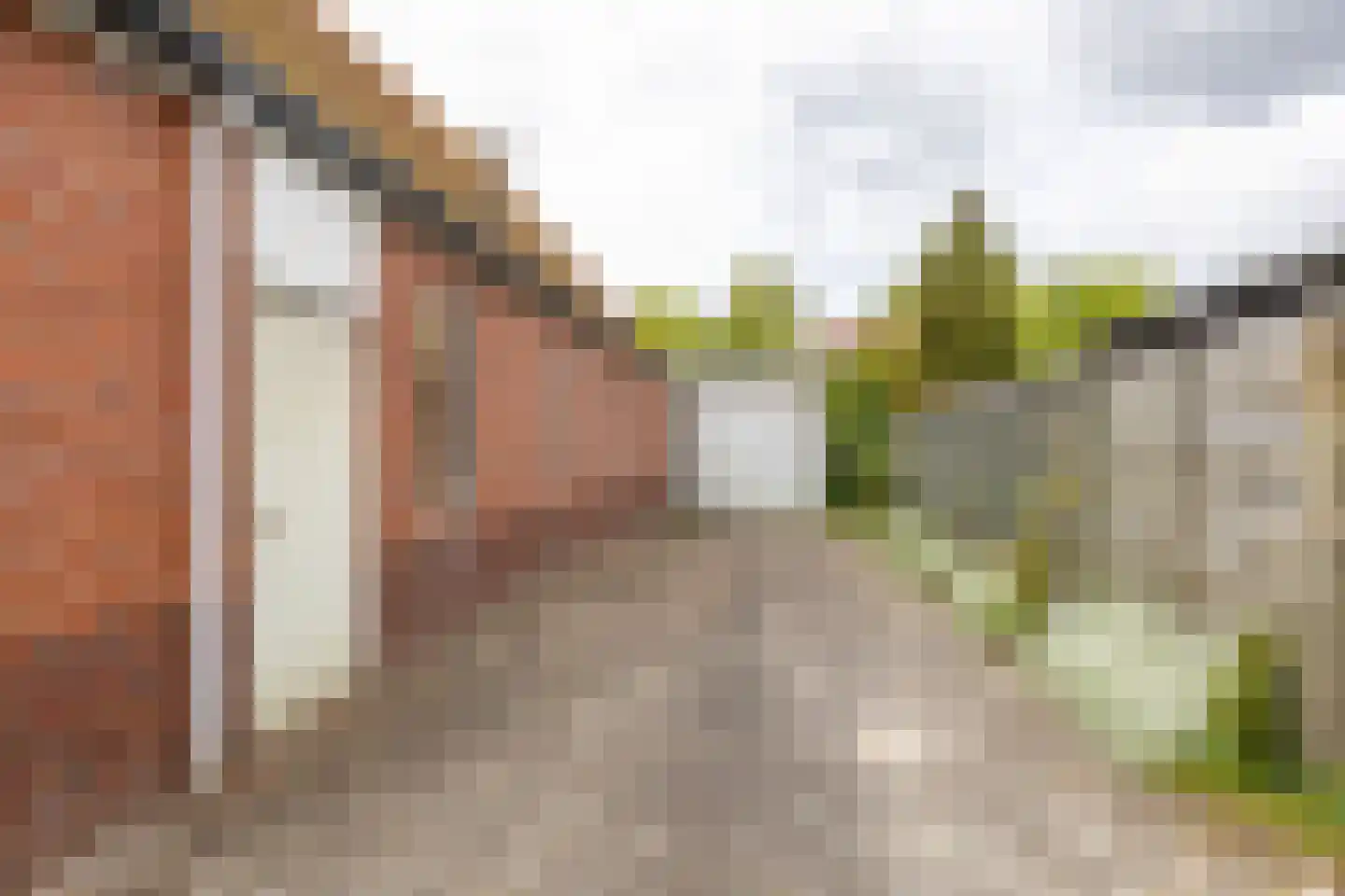 Borgercompagniesterstr 58 Sappemeer thumbnail 60