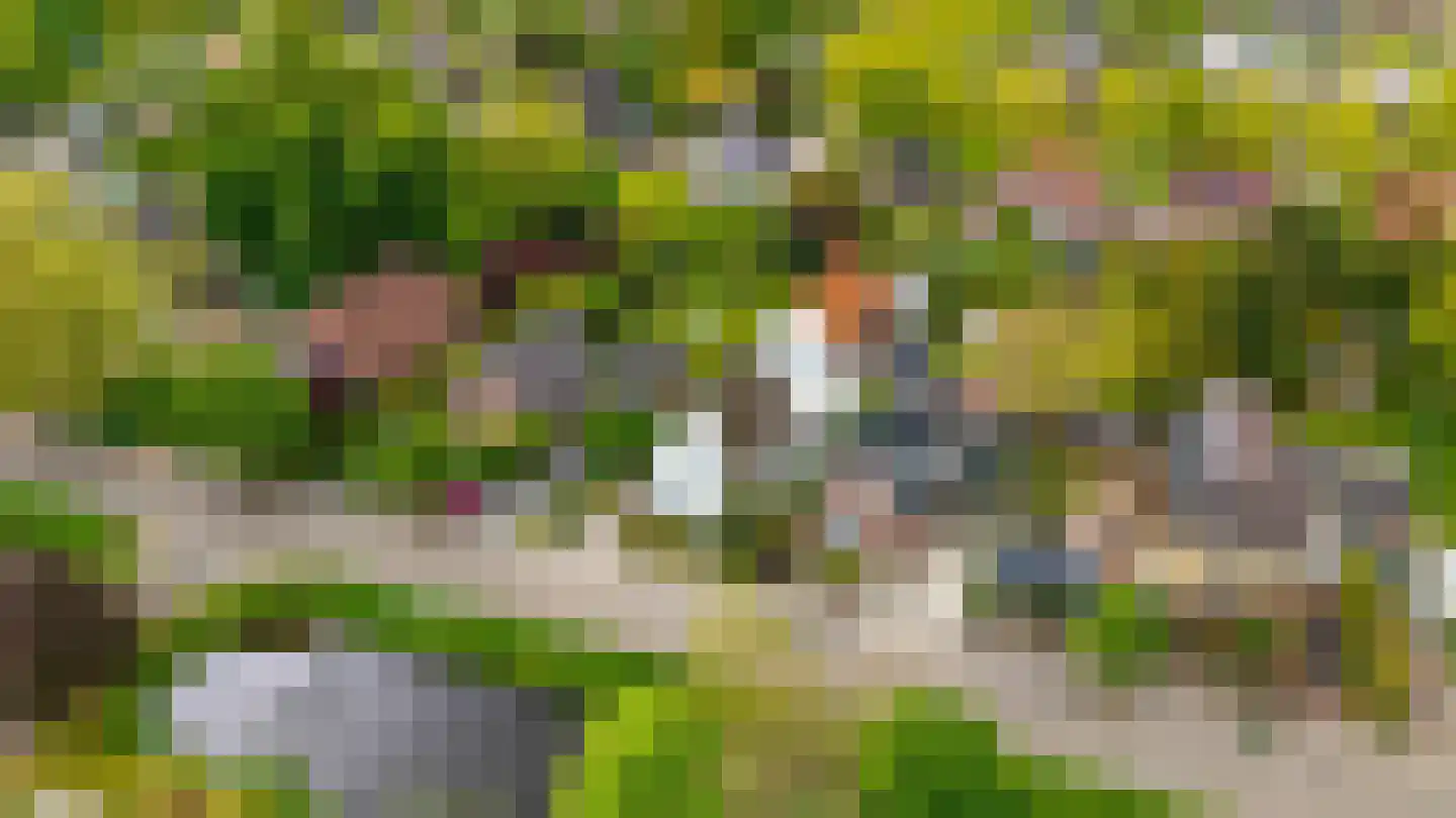 Borgercompagniesterstr 58 Sappemeer thumbnail 68
