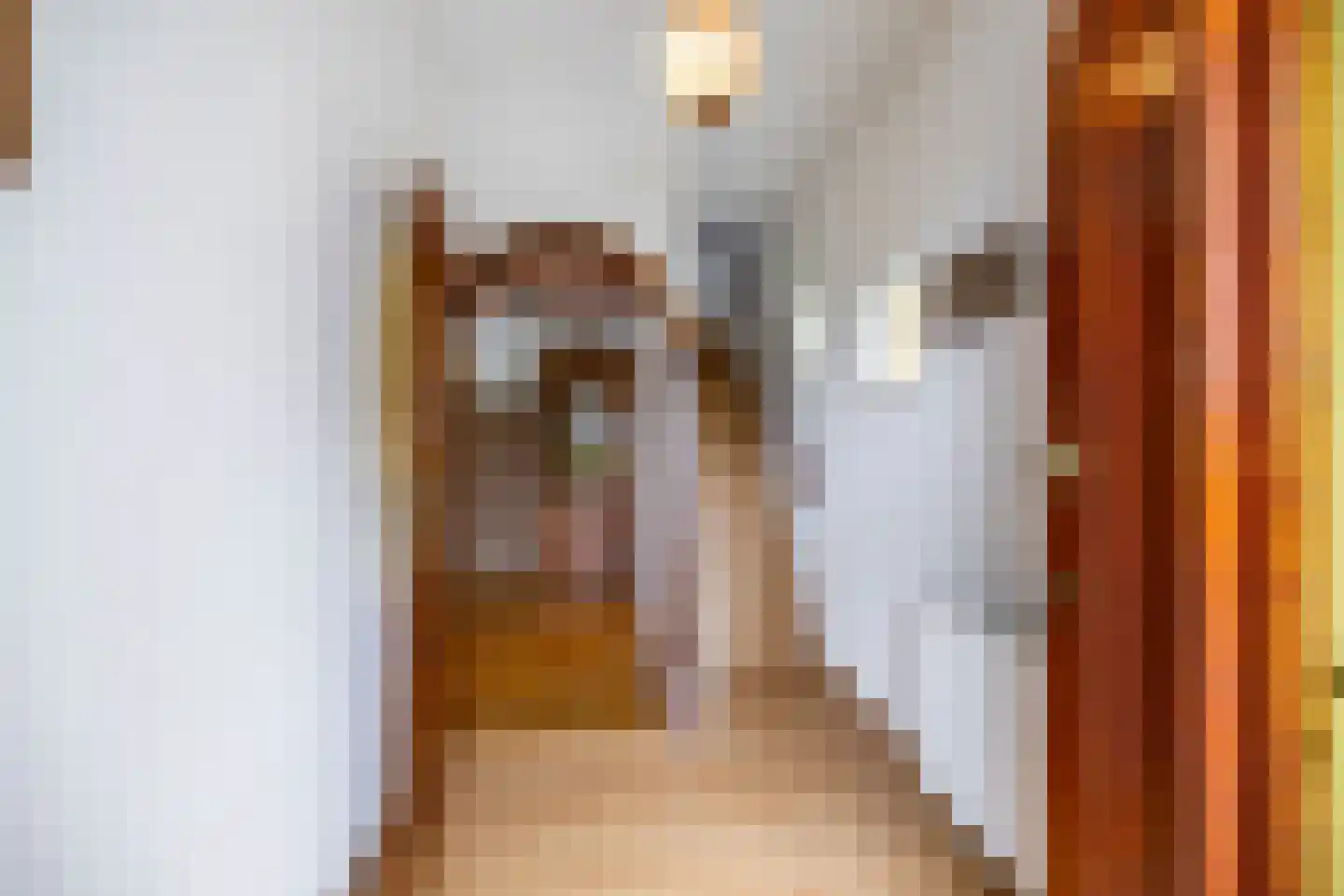 Borgercompagniesterstr 58 Sappemeer thumbnail 7