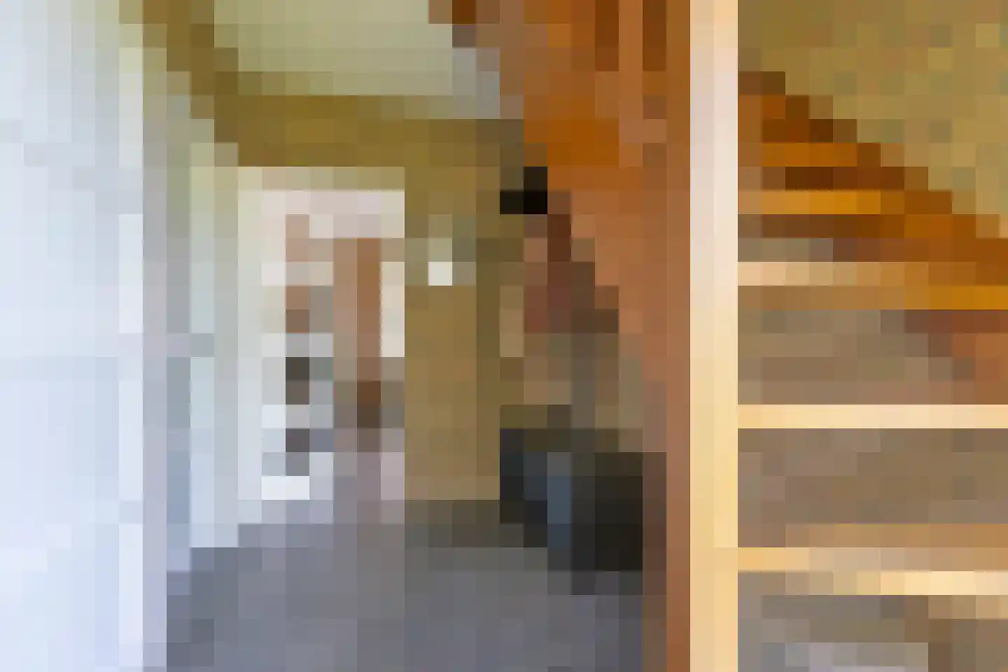 Borgerderstraat 1 Drouwen thumbnail 17