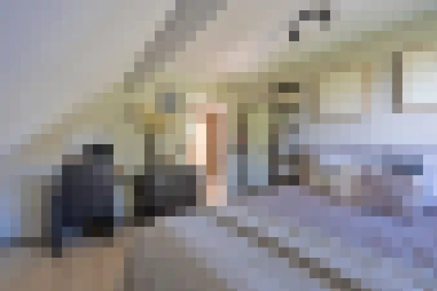Borgerderstraat 1 Drouwen thumbnail 41