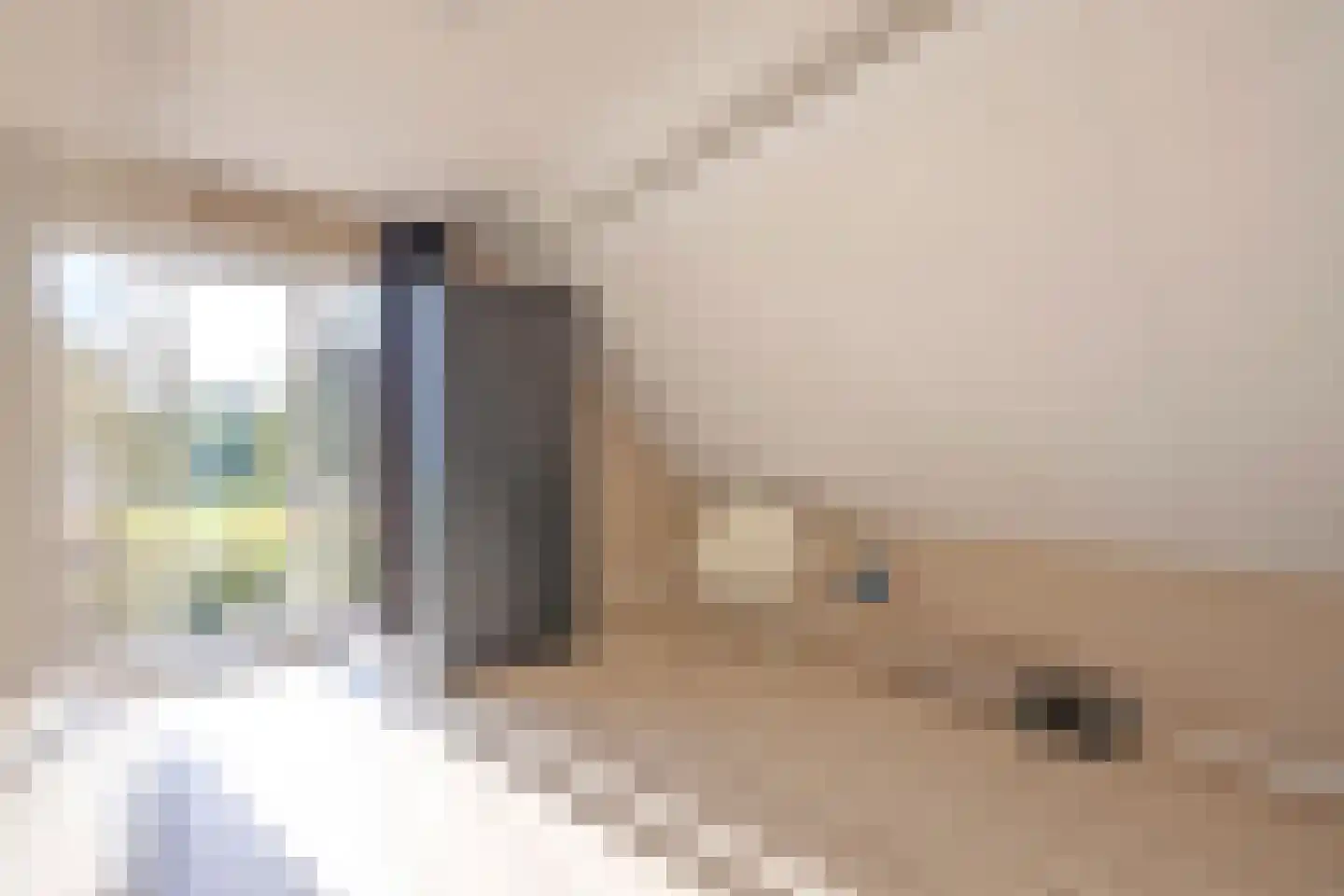 Borgerderstraat 1 Drouwen thumbnail 42