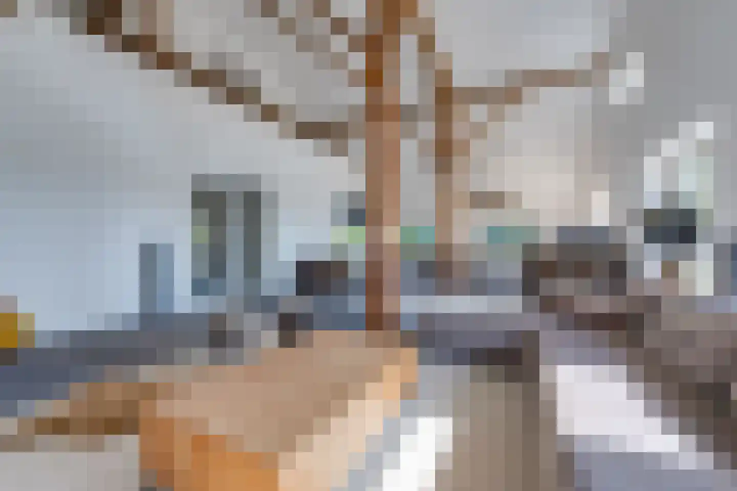 Borgerderstraat 1 Ees thumbnail 12