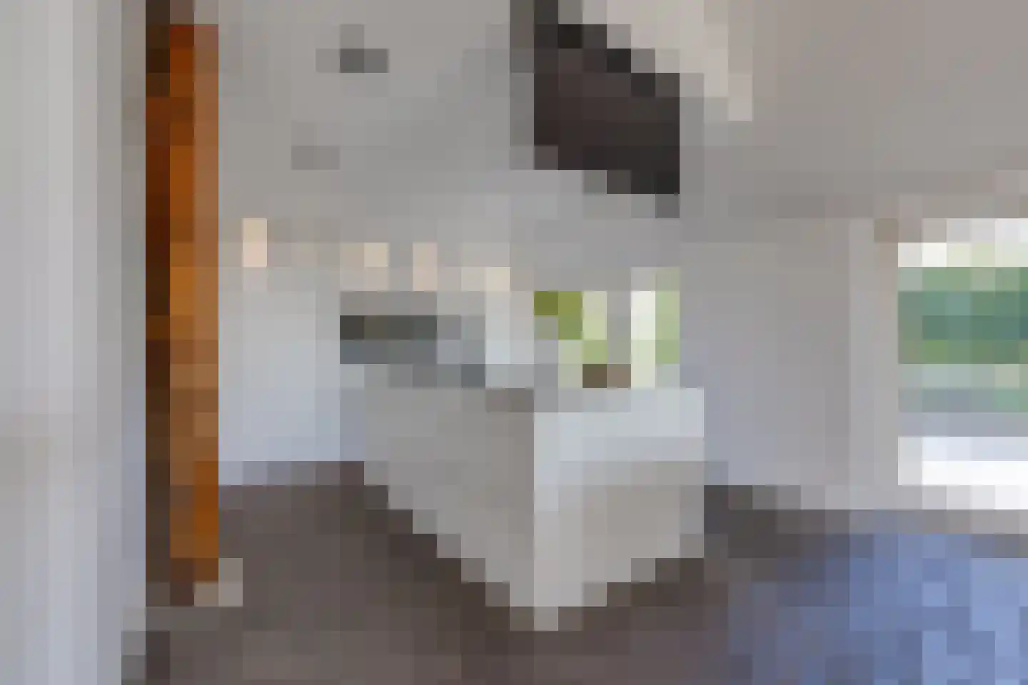 Borgerderstraat 1 Ees thumbnail 16